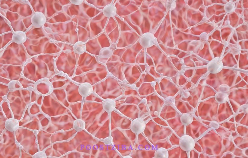 what is collagen peptide